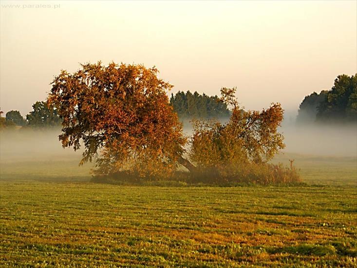 krajobrazy - jesien_1641.jpg
