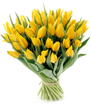  TULIPANY  - tulipany_bukiet5.jpg