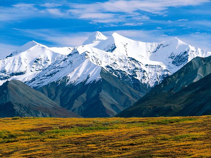National Parks Wallpapers - Denali National Park, Alaska.jpg