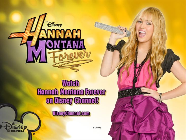  Tapety  Hannah Montannah - Hannah-Montana-forever-hannah-montana-13004989-1024-768.jpg