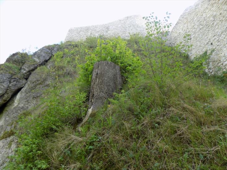 Ruiny zamku Pilcza i okolica - DSCN6278.JPG