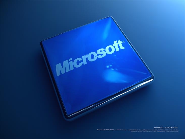  BRAND LOGO - Microsoft.jpg