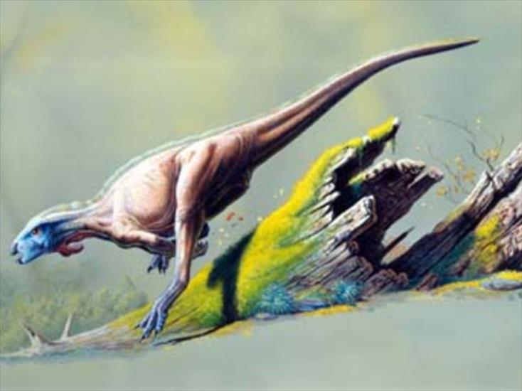 dinozaury - Orodromeus.jpg