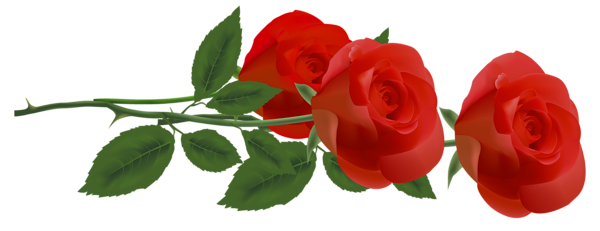 Ozdoby - Three_Red_Roses_PNG_Clipart_Picture.png