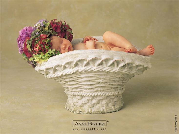 ANNE GEDDES-GALERIA  - 83.jpg