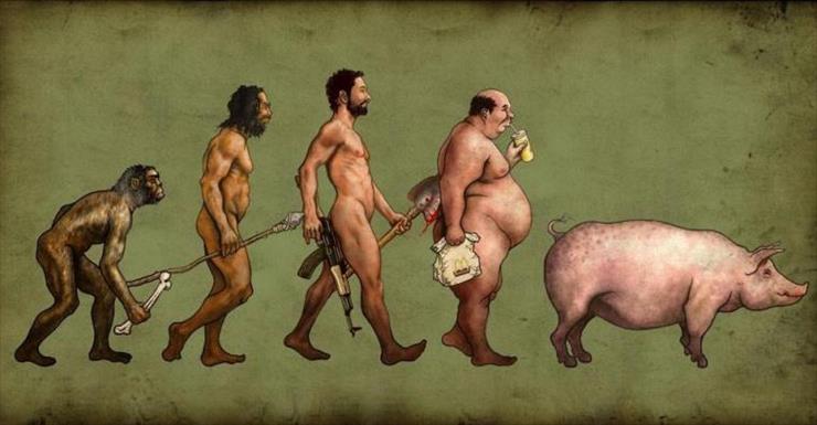śmieszne1 - ewolucja mężczyzny.jpg