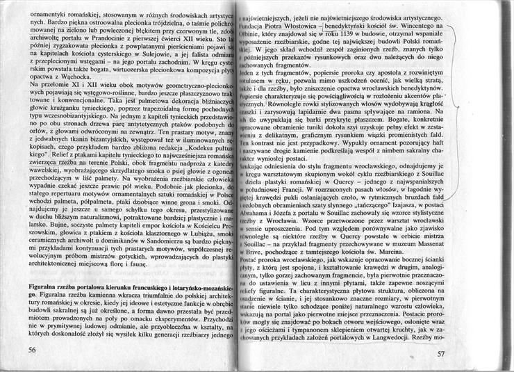 Świechowski- sztuka romańska w polsce 1 - 056.jpg