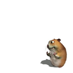 ChomikBox anims - hamster_1574.png