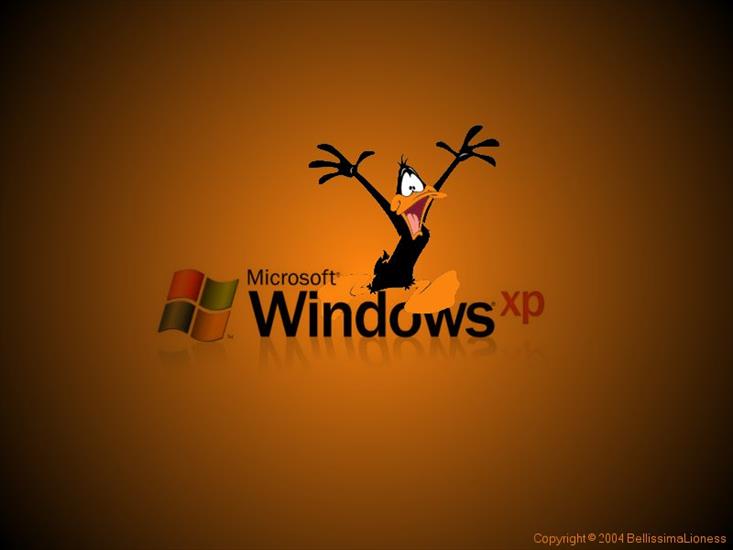 TAPETY RÓŻNE - Windows Xp 81.jpg