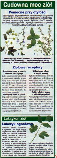 ZIOŁOLECZNICTWO1 - Na otyłość.JPG