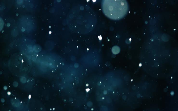 Featured Desktop HD Wallpapers 51 - Winter_Snowflakes_026145_.jpg