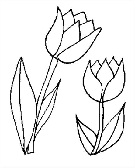 kolorowanki - Tulipan 3.gif