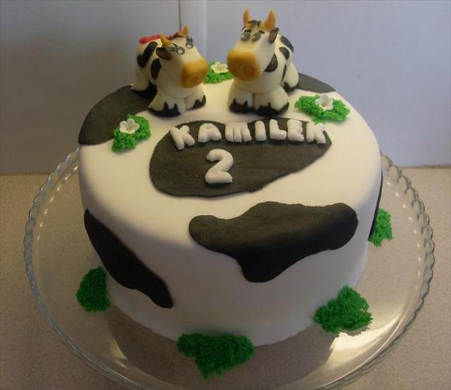 Torty urodzinowe - krowy1.jpg