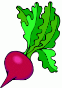 owoce i warzywa - veggie_beet.gif