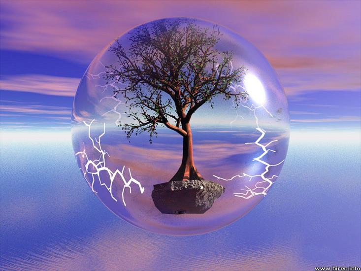 3D - tree-in-a-bubble.jpg