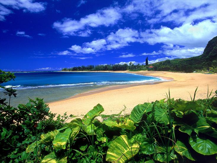 TAPETY NA PULPIT - Haena Beach, Kauai, Hawaii - 1600x1200 - ID 4537.jpg