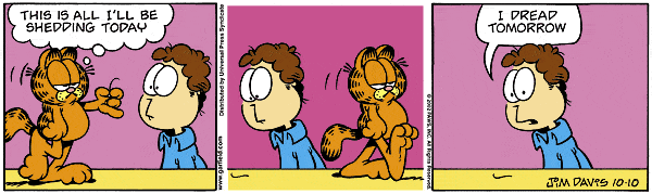 Garfield - Garfield 39.GIF