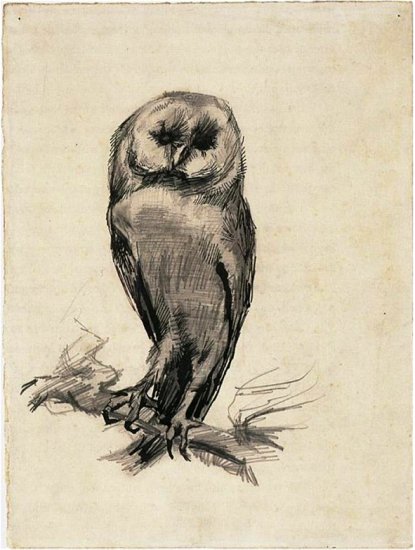 3. Paryż 1886 -88 - 1887-06  01 - Barn Owl Viewed from the Front.jpg