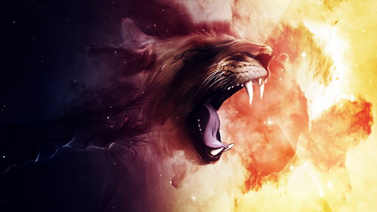 WALLPAPERSY - roaring_lion-2560x1440.jpg