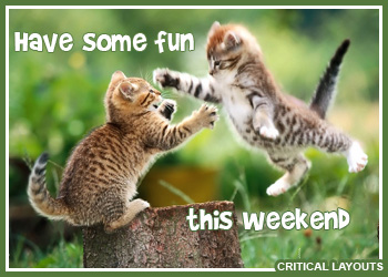 NA WEEKEND2 - fun-weekend-kittens-dc.jpg