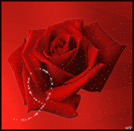 róże - ros046.gif
