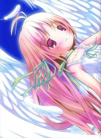 anime anioły - __Anime__.jpg