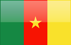 FLAGI 2 - Cameroon.png
