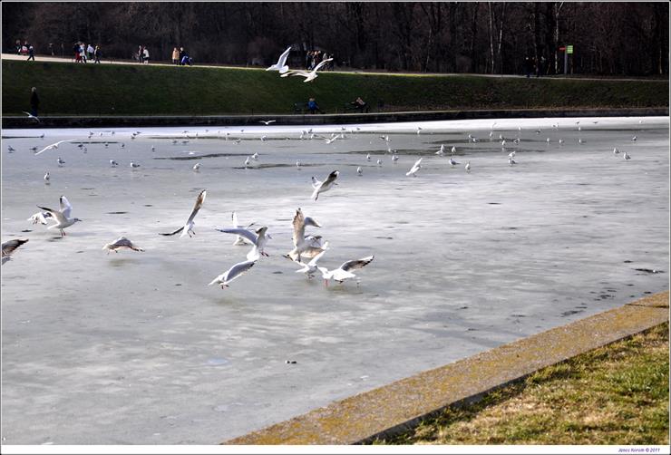 Wein-Schonbrunn Zamek - wien-030_5360016345_o.jpg