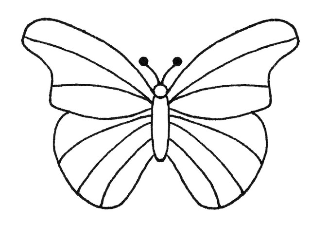 Motyl - Butterfly-31.gif