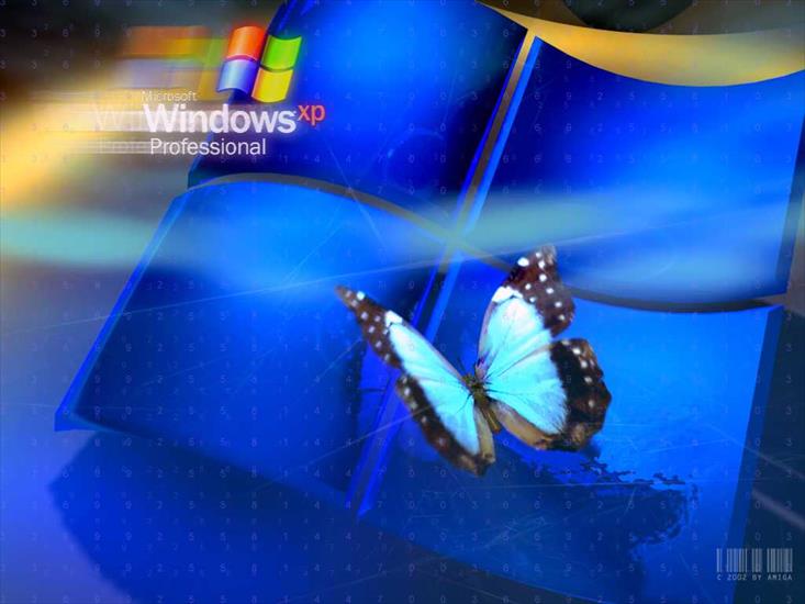 XP - windows53.jpg