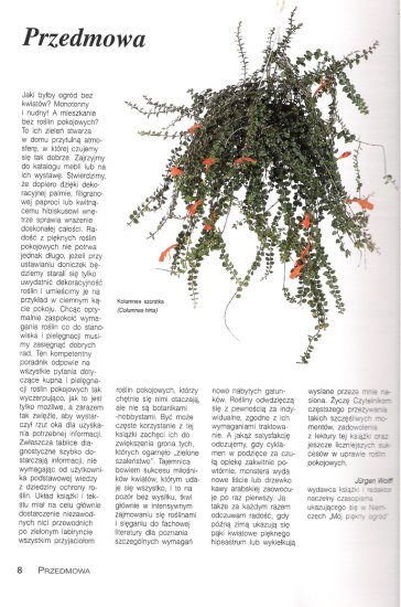 Rośliny Pokojowe - Strona  8.jpg