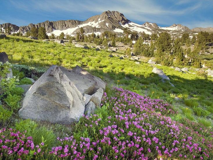 GALERIA krajobraz - Carson_Pass,_Sierra_Nevada_Mountains,_California.jpg