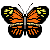 zwierzęta - butterfly-kupu.gif