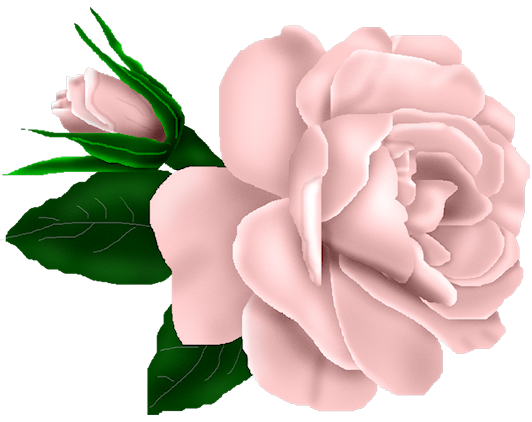 2 - SSS_Roses_Element-13.png