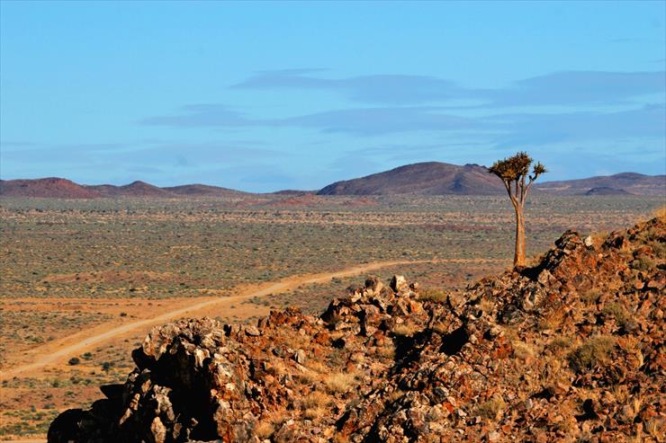 Namibia - 15499651.jpg