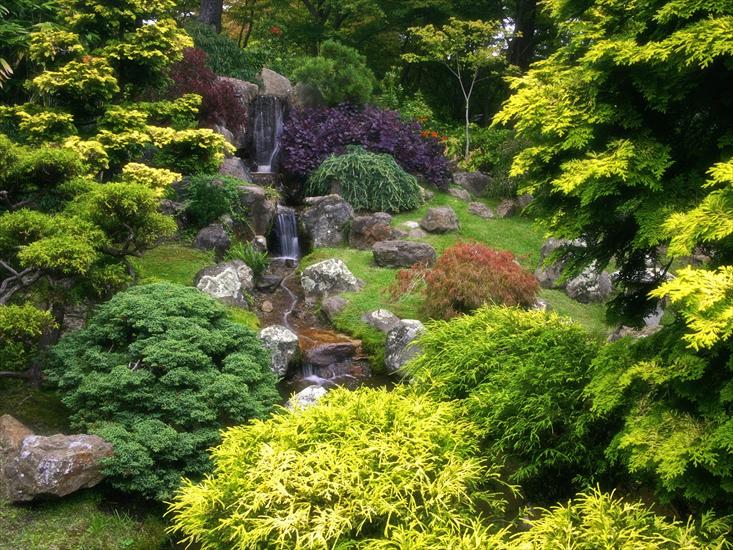 CIEKAWE OGRODY - Japanese Tea Garden, Golden Gate Park, San Francisco, California.jpg