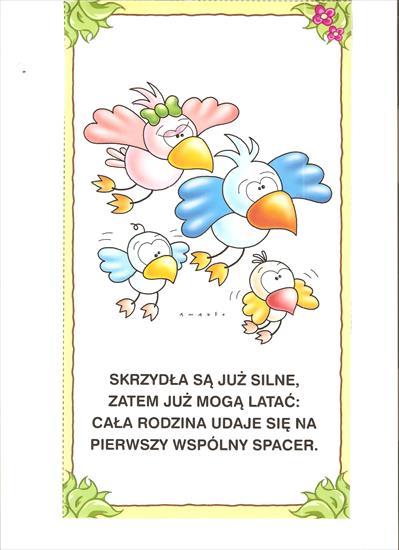 historia ptaszków1 - 1006.jpg