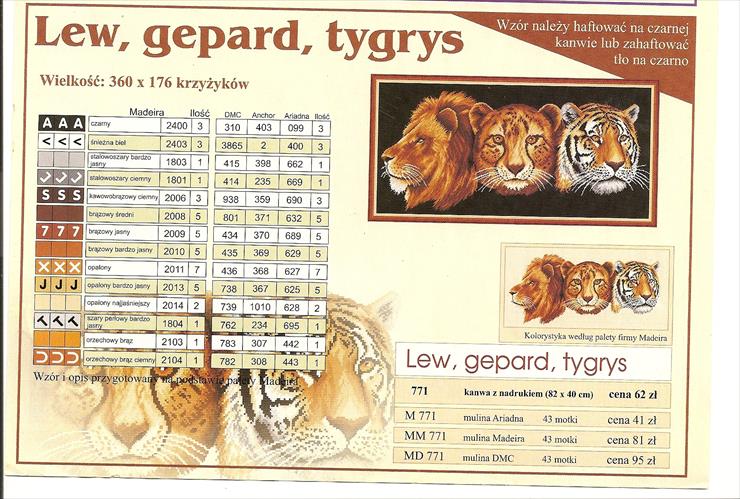 Zwierzęta - gepard.jpg