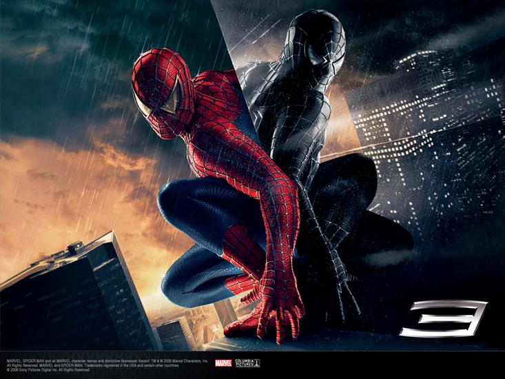 Spiderman - spiderman 3 - two spideys.jpg