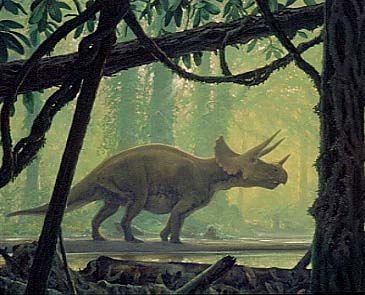 t - dh_triceratops.jpg
