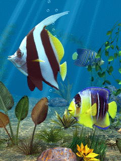 Na komórke różnośći - Animated 3D Fish 3.gif