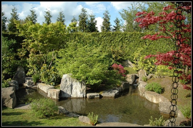 OGRODY JAPOŃSKIE  - 1b ogród japoński21.JPG
