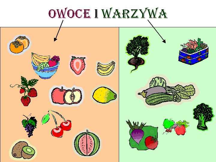 warzywa - schemat_OWOCE_I_WARZYWA.jpg