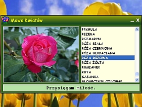 Programy - screen1.jpg