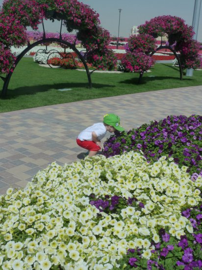 Piękny ogród kwiatowy Al Ain - 36.JPG