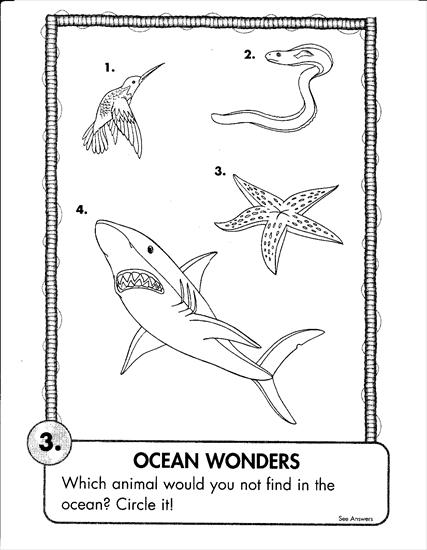 Coloring Book - Planet Earth - Awesome Animals - Planet_Earth_Awesome Animals17.jpg