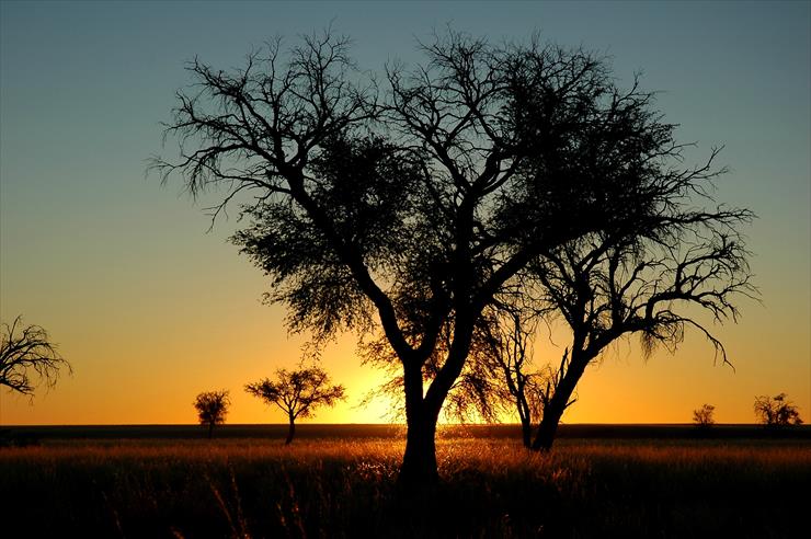 Namibia - Namibie_Namib_Naukluft_Park_Sunset_021.JPG