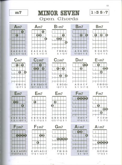 GUITAR CHORDS PG 51_75 - GUITAR CHORDS PG 53.JPG