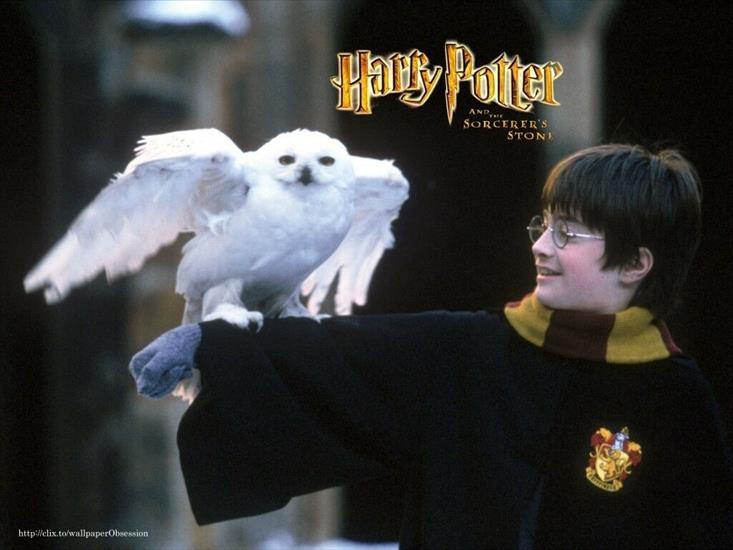  Filmy - Harry Potter 7.jpg