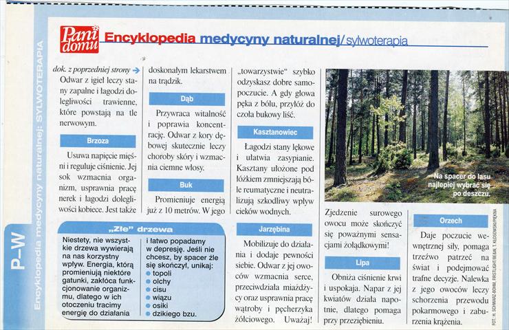 PaniDomu_Encyklopedia medycyny naturalnej - Sylwoterapia_02.jpg